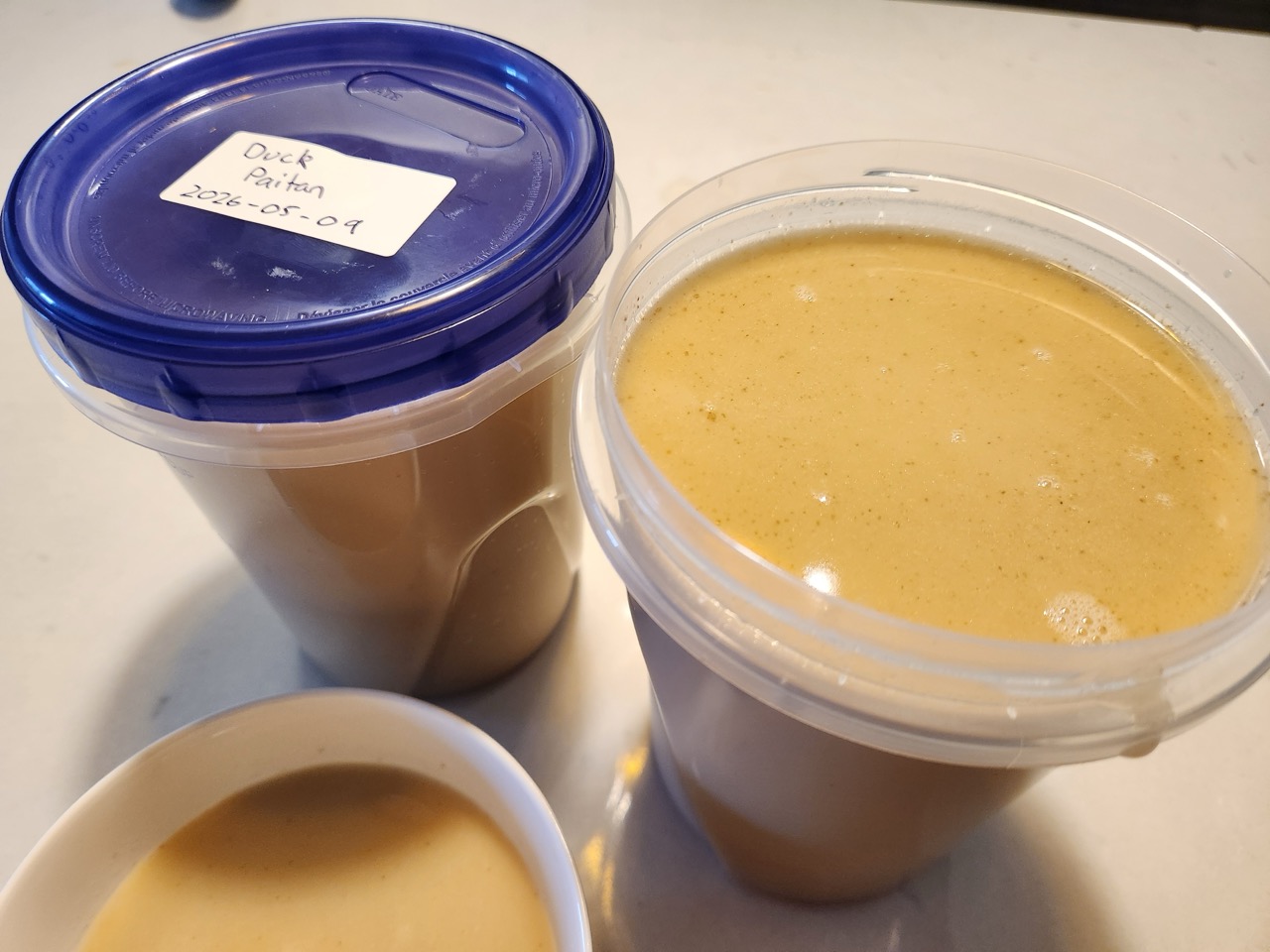 Duck paitan