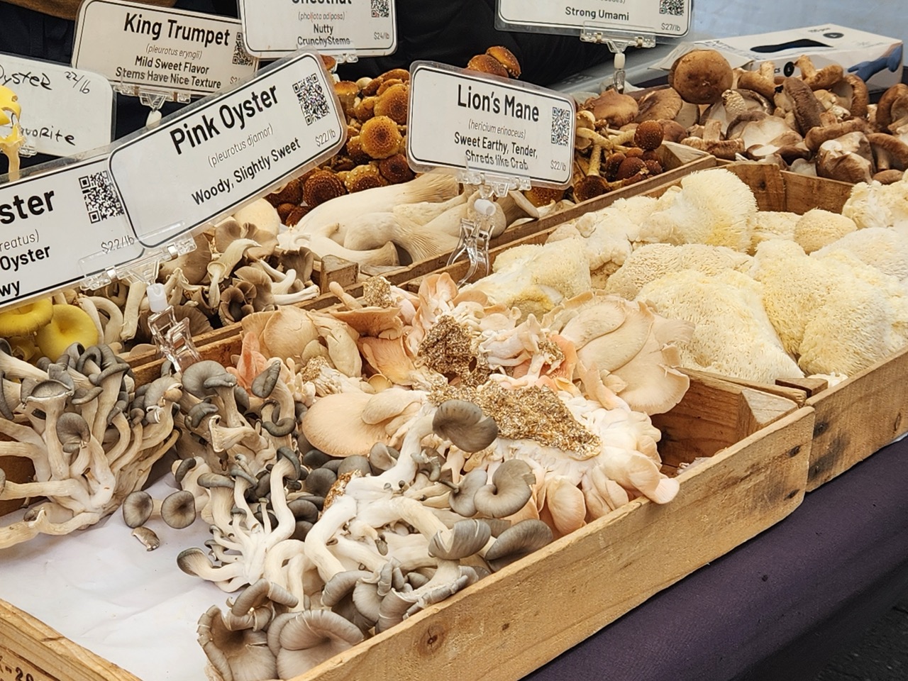 Mushroom stock