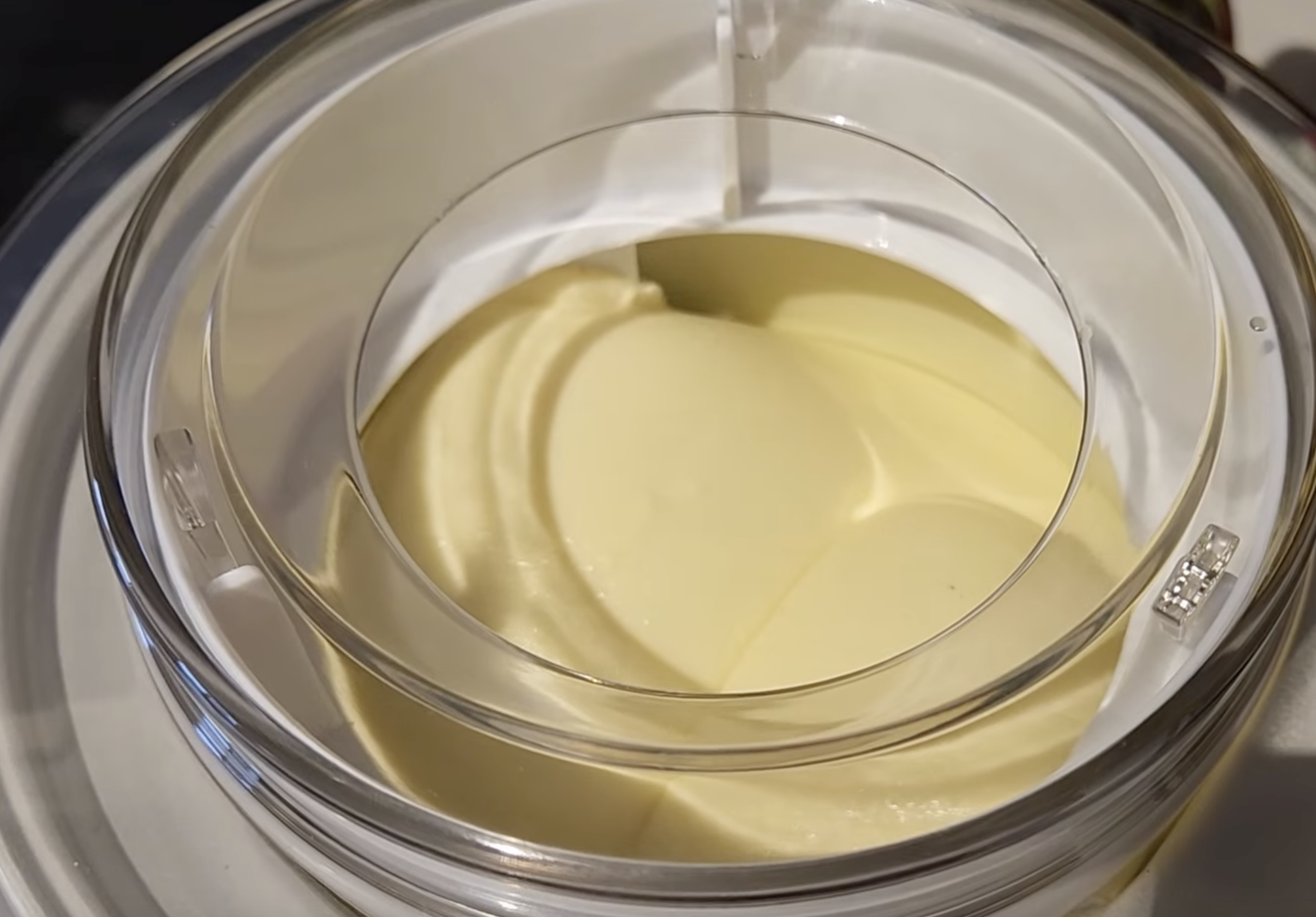 Vanilla bean ice cream