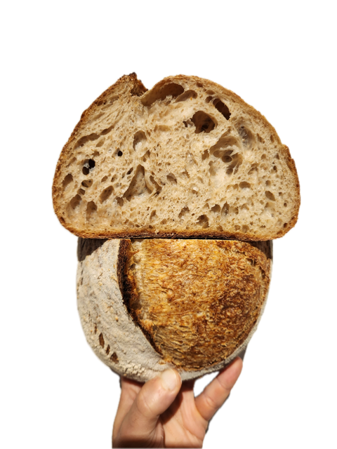 Sourdough Crumb Evolution